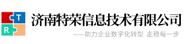 企业IT整体解决方案供应商
